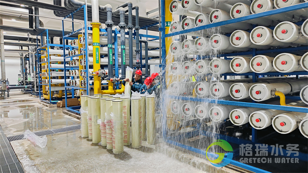 IMG20240702134723.jpg IMG20240702134723.jpg