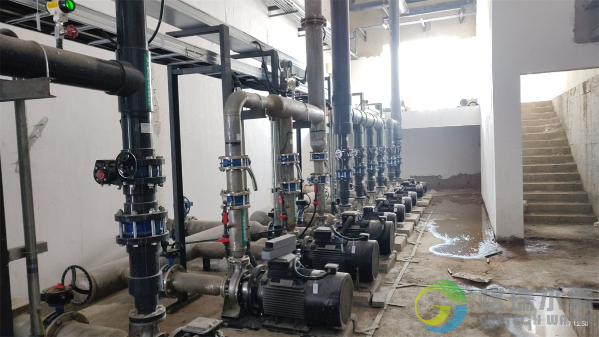 IMG_20241117_125012229